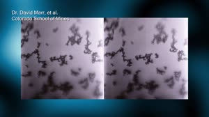 Dr. Ramona Mhanna on the Three Different Types of ACET-9 Experiments