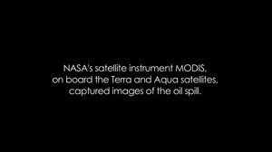 Gulf of Mexico Oil Spill