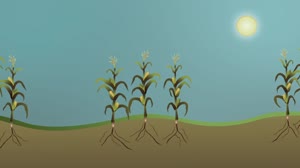 Evaporation and Transpiration