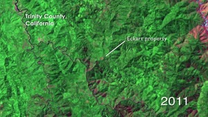 Trinity County, California: Logging