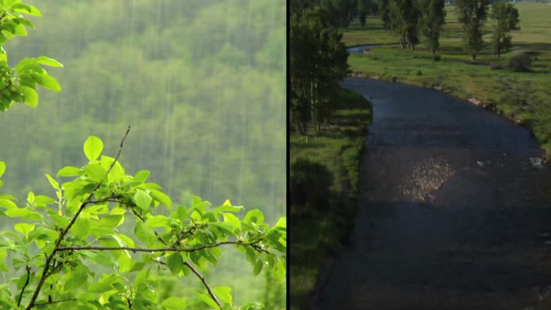 GPM: Our Wet Wide World