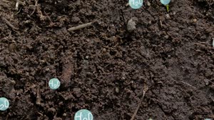 NASA's Aquarius Returns Global Maps of Soil Moisture: Soil in Different Weather