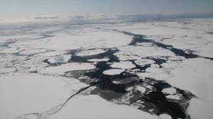 The Arctic and the Antarctic Respond in Opposite Ways