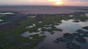 Vegetation Response to Lower Colorado River pulse flow in 2014