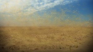 Satellite Tracks Saharan Dust To Amazon In 3-D: Dust Transport