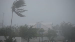 A Week in the Life of Rain