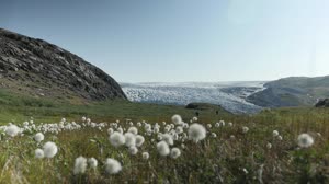 Rising Seas: NASA on the Greenland Ice Sheet (Teaser)