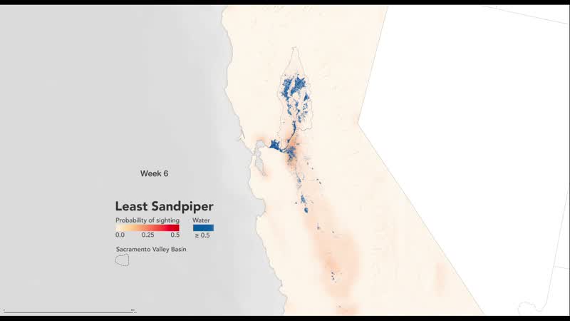 Still from “Landsat Helps Feed the Birds: Bird Returns Probability” on NASA Image and Video Library