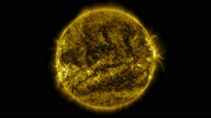 SDO: Year 6