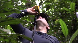 AfriSAR, an Introduction: The Carbon in the Trees