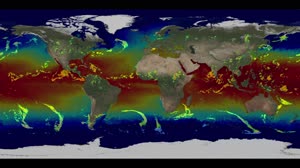 A Global Tour of Precipitation from NASA:  MUR Sea Surface Temperature with GPM's IMERG preciptation data.