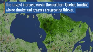 Details of Arctic Greening in North America