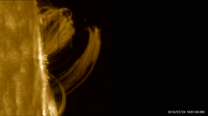 Solar Highlights of 2016/2017: Plasma Rain