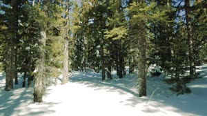 SnowEx Field Campaign: B-Roll From Grand Mesa