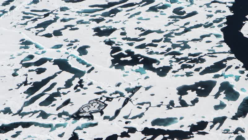 A New Forecast Model Predicts Arctic Sea Ice Extent