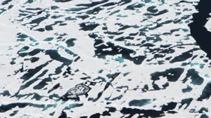 A New Forecast Model Predicts Arctic Sea Ice Extent