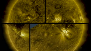 Two Weeks in the Life of a Sunspot