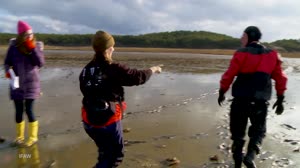 Can Data from Space Save Dolphins?