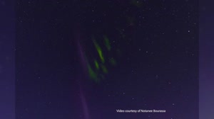 The Aurora Named STEVE