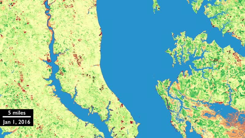 Harmonized Landsat 8 and Sentinel-2 Data: Chesapeake Bay