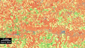 Harmonized Landsat 8 and Sentinel-2 Data: Cunningham Kansas