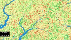 Harmonized Landsat 8 and Sentinel-2 Data: DELMARVA