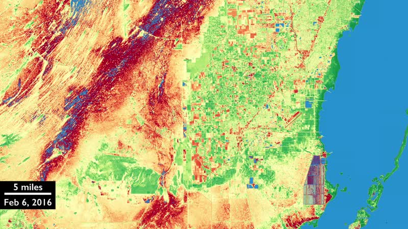 Harmonized Landsat 8 and Sentinel-2 Data: Everglades South