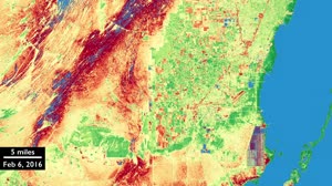 Harmonized Landsat 8 and Sentinel-2 Data: Everglades South