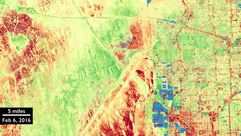 Harmonized Landsat 8 and Sentinel-2 Data: Everglades