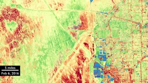 Harmonized Landsat 8 and Sentinel-2 Data: Everglades