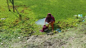 Using Precipitation Data to Assess Risk of Cholera Outbreaks