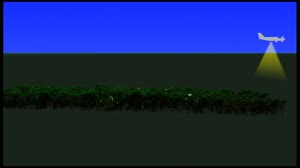 Amazon Canopy Comes to Life through Laser Data