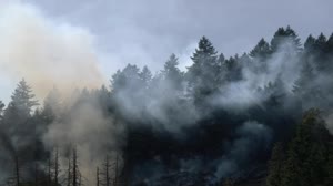 NASA Rainfall Data and Global Fire Weather