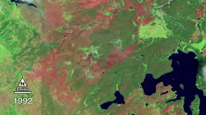 Yellowstone Burn Recovery Timelapse