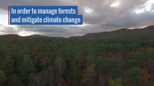 GEDI: Mapping Carbon in 3-D