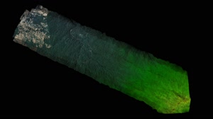 3-D Views of Puerto Rico's Forests After Hurricane Maria