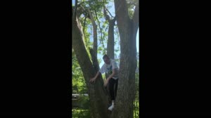 Trees Around the GLOBE