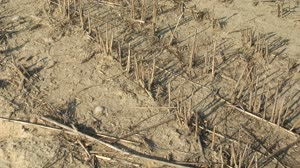 Using NASA Data to Monitor Drought and Food Insecurity