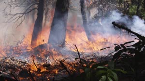 NASA and NOAA Take to the Air to Chase Smoke