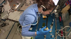 iss059m121751636 (June 24, 2019) --- Genes in Space-6 Operations