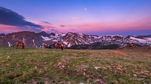 What's Up: April 2021 Skywatching Tips from NASA