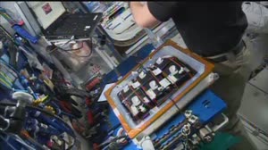 ISS Project VEG-01B - Video 3