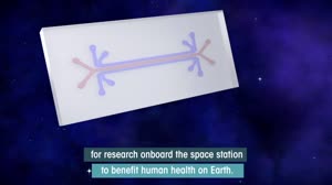 SpaceX CRS-17 What's On Board Briefing