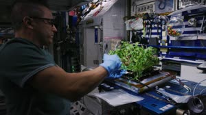 NASA ready to send more plants and a new way to handle seeds to the International Space Station