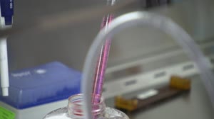 Engineered Heart Tissue for CRS-27 Broadcast