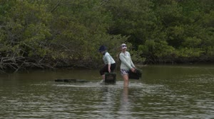 Sea Grass Restoration Project