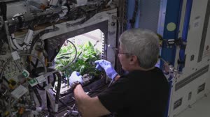 ISS@25: What We Learn