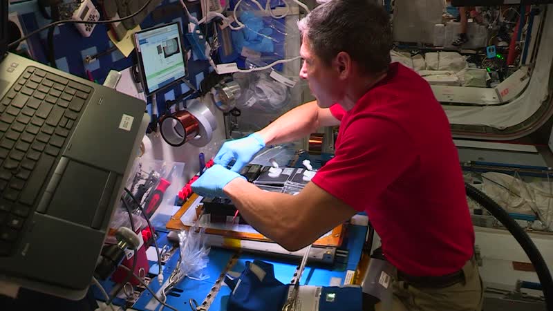NASA astronaut Mike Hopkins planting Veg‑03J aboard ISS