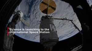 Science Launching on Northrop Grumman's 23rd Cargo Resupply Mission to the Space Station