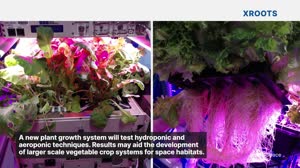 Science Launching on Northrop Grumman CRS-17 Mission to the Space Station